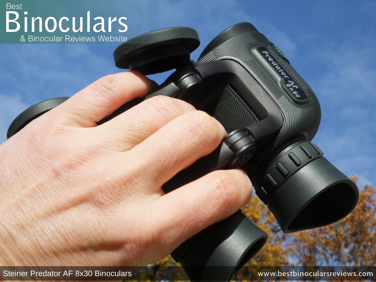 steiner predator 8x30