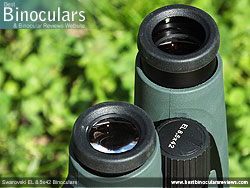 Eyecups on the Swarovski EL 8.5x42 Binoculars