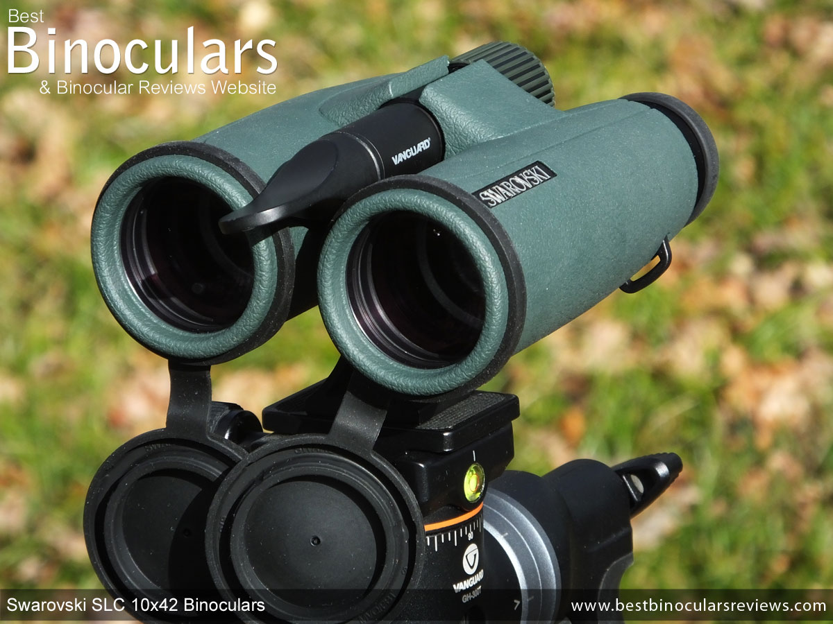 Dochter jury plus Swarovski SLC 10x42 Binoculars Review