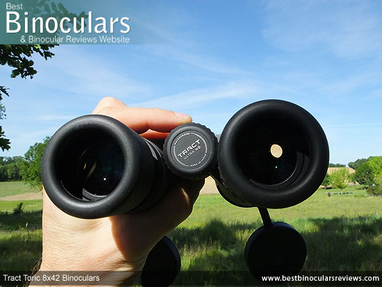 Adjusting the Focus Wheel on the Tract Toric 8x42 Binoculars