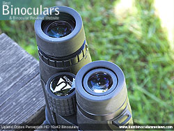 Eyecups on the Upland Optics Perception HD 10x42 Binoculars