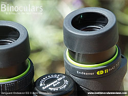 Eyecups on the Vanguard Endeavor ED II Binoculars