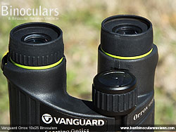 Eyecups on the Vanguard Orros 10x25 Binoculars