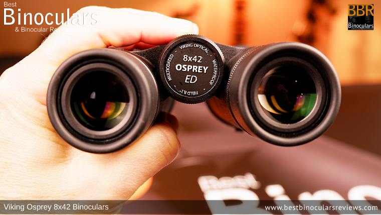 Adjusting the Focus Wheel on the Viking Osprey 8x42 Binoculars