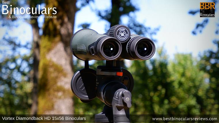 Vortex Diamondback HD 15x56 Binoculars mounted on a Tripod