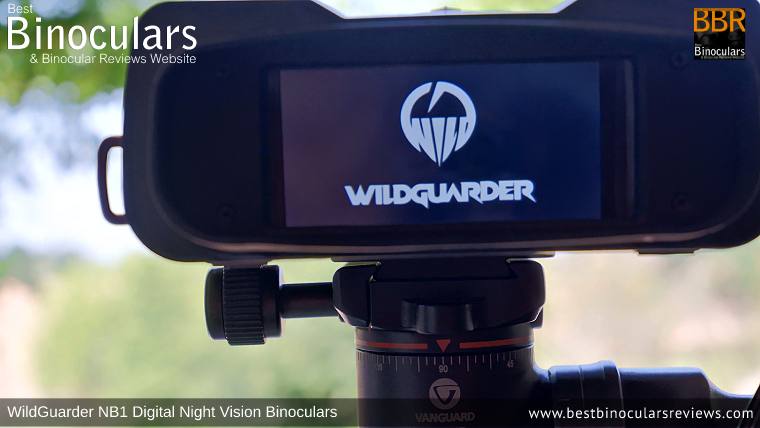 LCD screen on the Steiner Wildlife 10x26 vs WildGuarder NB1 Digital Night Vision Binoculars