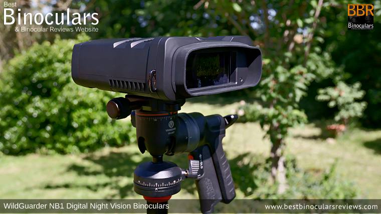 WildGuarder NB1 Digital Night Vision Binoculars on a tripod