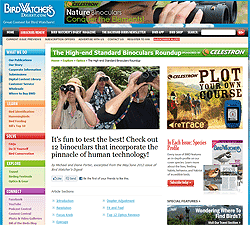 Birdwatcher's Digest - The Best 8x42 Binoculars - Screen Grab