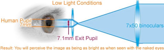 Exit Pupil 7x50 Binoculars