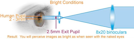 8x20 Binoculars in Bright Conditions