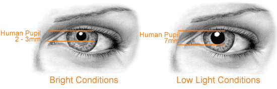Pupil Size in differing Light conditions