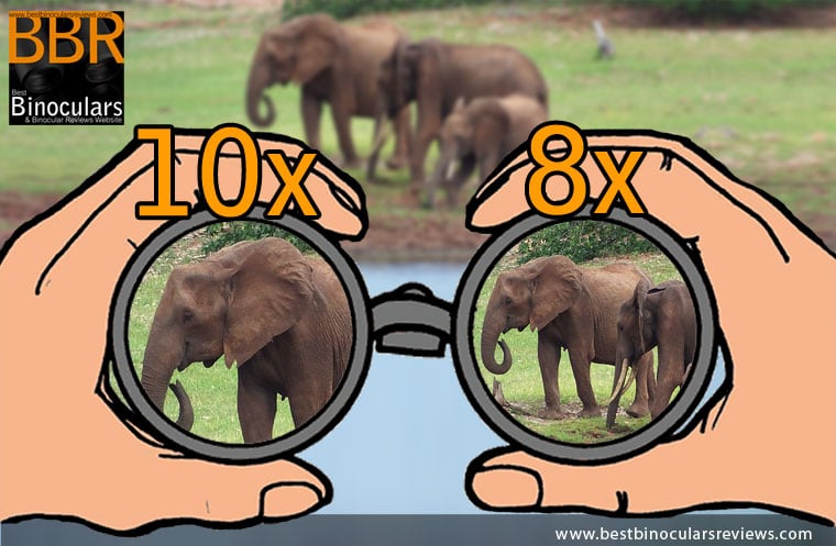 Image difference between 10x vs 8x: binoculars