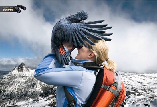 Olympus Binocular Cockatoo Advert