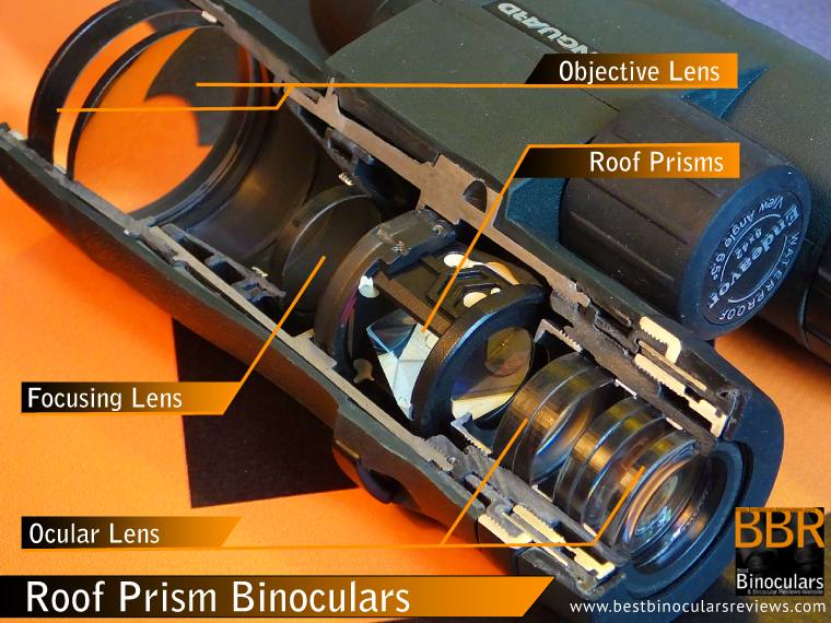 Cutaway of a Vanguard Endeavor Roof Prism Binocular showing the arrangement of the Lenses & Prisms inside the chassis