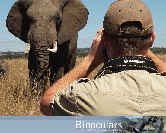 Safari Binoculars