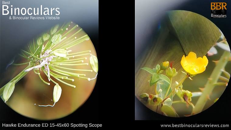 Digiscoping with the Hawke Endurance ED 15-45x60 Spotting Scope