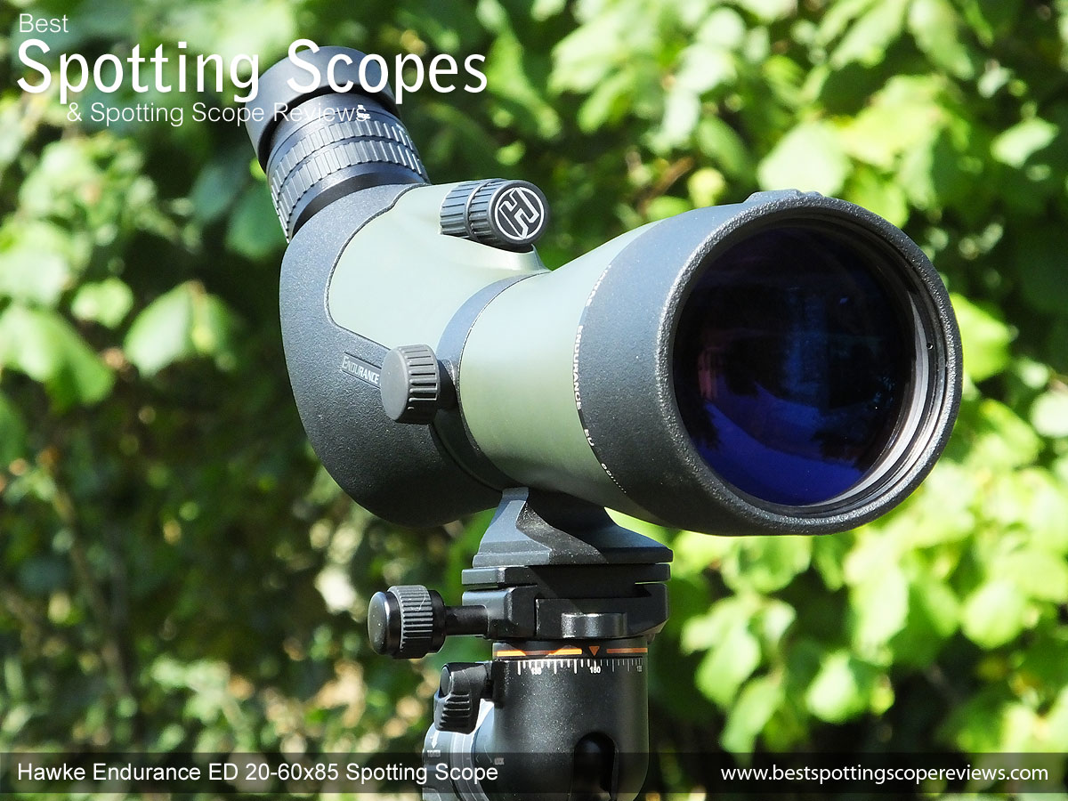 tigger tjene Såkaldte Hawke Endurance ED 20-60x85 Spotting Scope Review