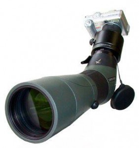 Swarovski Digiscoping