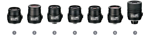 Nikon EDG Eyepieces