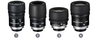 Nikon Spotting Scope Eyepieces