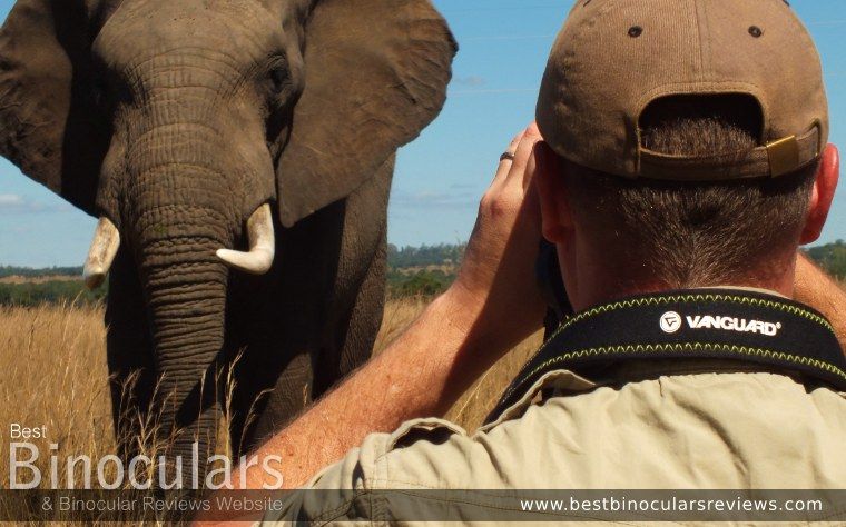 Me using Binoculars viewing an Elephant