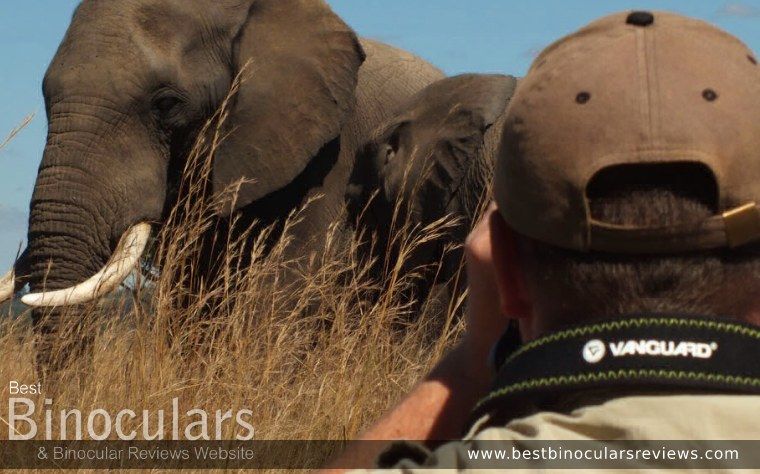 On Safari with the BinoWizard: Viewing elephants with a pair of Vanguard Binoculars